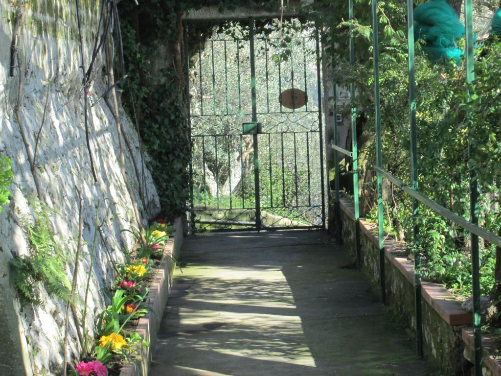 L'Uliveto Bed & Breakfast Positano Exterior foto