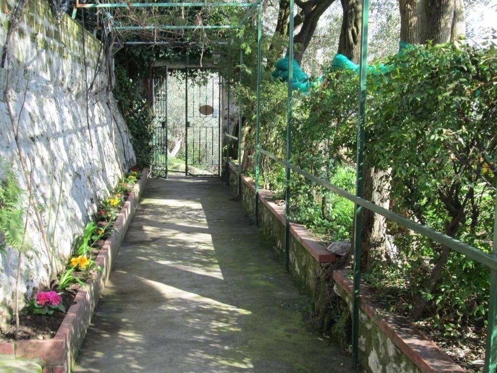 L'Uliveto Bed & Breakfast Positano Exterior foto