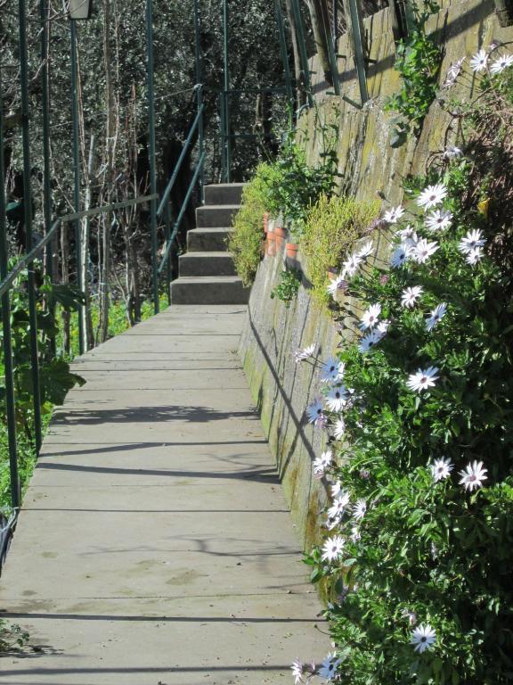 L'Uliveto Bed & Breakfast Positano Exterior foto