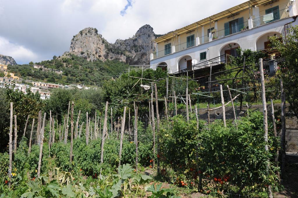 L'Uliveto Bed & Breakfast Positano Exterior foto